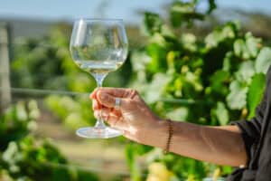 Glass of white wine held up in a Margaret River vineyard on a sunny afternoon.