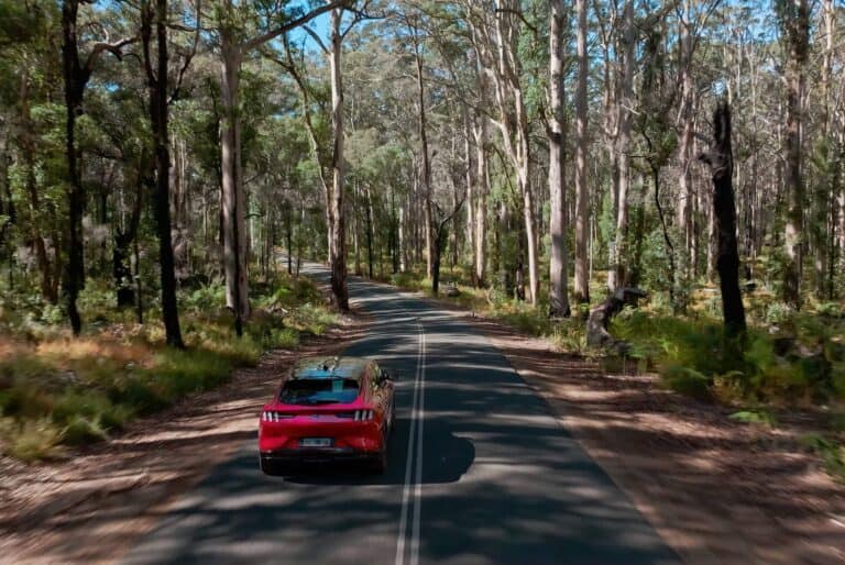 Margaret River Summer Gems: Hamelin Bay & Injidup Natural Spa