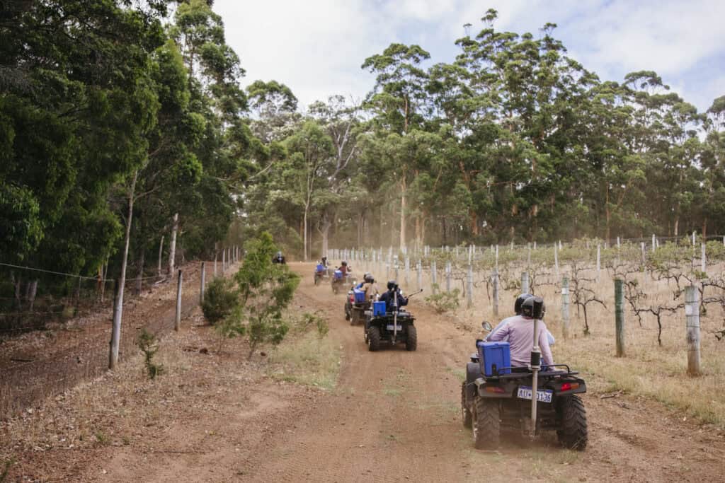 A group of adventurers on electric quad bikes paused on a forest track, with a focus on the mounted iPad digital guide used during the EcoAdventures tour.