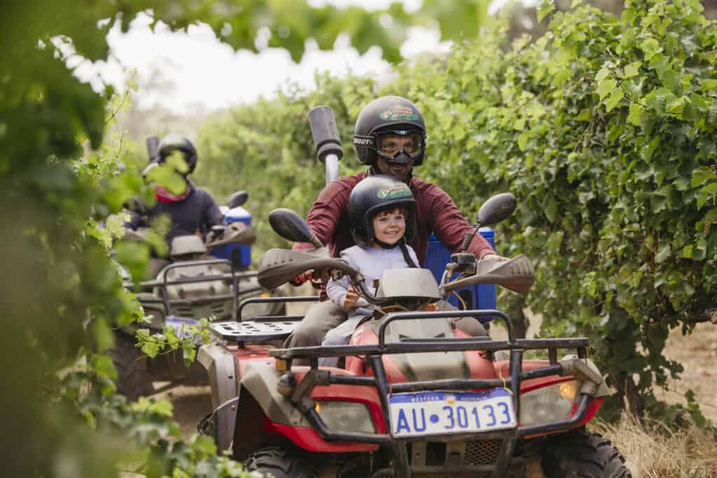 A convoy of electric 4WD quad bikes from EcoAdventures Margaret River driving along a dirt track between a vineyard and the native Karri forest.