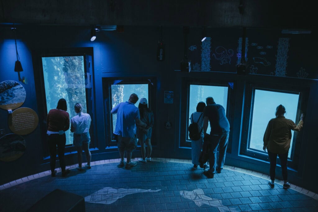 Visitors standing on a flat, tiled floor inside the Busselton Jetty Underwater Observatory, looking through large glass windows at the bright blue ocean and marine life 8 meters below sea level.