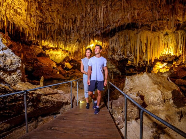 Boranup Forest drive on a 3 day Margaret River itinerary