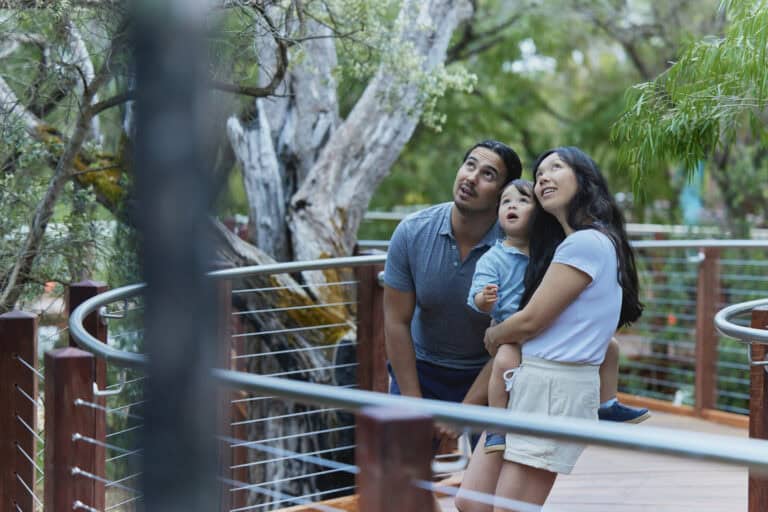 Best Margaret River Caves to Explore
